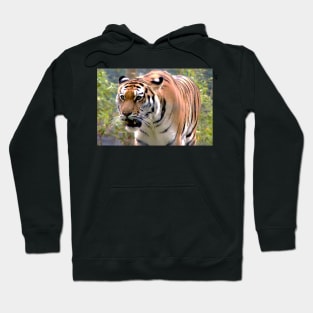 OOH Momma! Hoodie